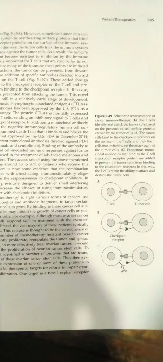 Molecular%20Biotechnology%20principles%20and%20applications%20of%20Recombinant%20DNA%20-%20Image%204