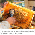 Bee Attractant Lure Bee Queen Pheromone Catching Bait Swarm Lure Beekeeping Attract Bait Swarm Commander Honeybee Trap Liquid. 