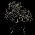 Premium Fish Hook Earring Wires (Golden & Silver) Findings(20g).