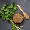 Coriander Leaves (Dhonia Pata) 500+seeds. 