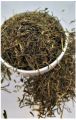 Jimbu Himalayan Herb ( From Upper Mustang Region ) - 1kg. 