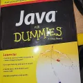 Java For Dummies By Barry Burd. 
