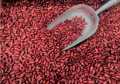 Red Lobia 500Gram || Desi red Lobia. 