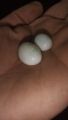 Real opal stone. 