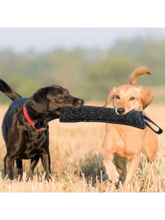 1pc%20Dog%20Bite%20Stick%20Enhances%20Effective%20Training-%20Comfortable%20Handle%20For%20Interactive%20Play,%20Grinding%20Teeth,%20And%20Chew%20Training%20-%20Image%202