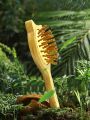 Eco Bamboo Hair Brush Nature Wooden Anti-Static Detangle Brush Hair Scalp Massage Comb Air Cushion Styling Tools for Women Men. 