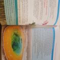 CAMBRIDGE PRIMARY SCIENCE LEARNER BOOK 4 2ND EDITION WITH DIGITAL ACCESS BY FIONA BAXTER. 