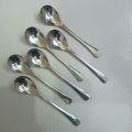 NOVA 6 pcs stainless steel long sup spoon 6 inches long silver colour. 