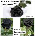 Authentic Black Rose Seeds -30pcs+SURPRISE GIFT. 