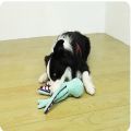 Pet plush octopus toy interactive sound anti-demolition home large and small dog boredom companion dog toy. 