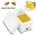 Beehive Beekeeping Box Tools For Beekeeper Supplies Bee Hive Frame Holder Equipment Kit Beehive Pollination King Bees Hive Box. 