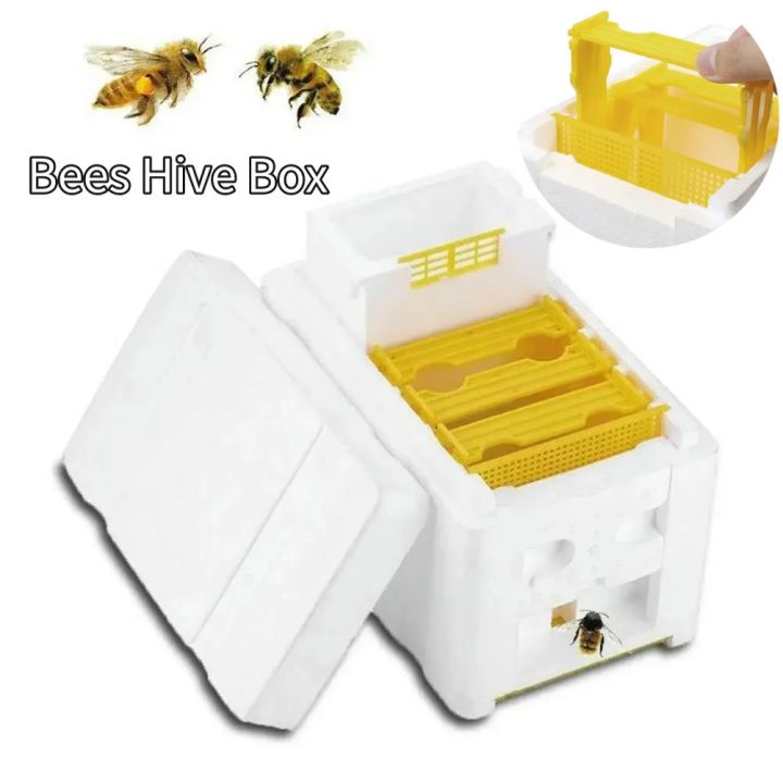 Beehive Beekeeping Box Tools For Beekeeper Supplies Bee Hive Frame Holder Equipment Kit Beehive Pollination King Bees Hive Box