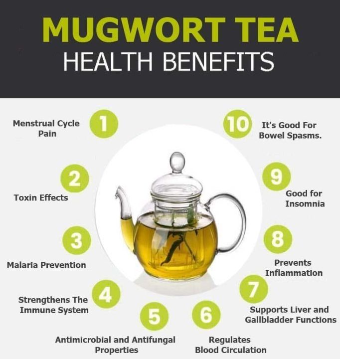 Yagya%20Mugwort%20Dried%201%20kg%20-%20Image%205