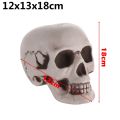 Plastic Skull Head  All Size Realistic Skull Skeleton Head for Halloween Party Home Garden Lawn Decor Haunted House Horror Props. 