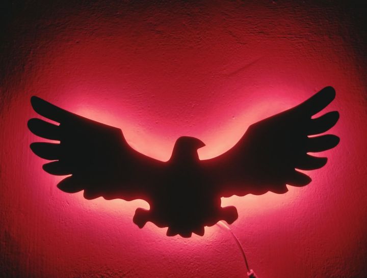 Wall decor Eagle sign with lighting , eagle light , wooden eagle , lighting eagle , eagle gift , hunter eagle with lighting , night lamp , wall decoration items , wall light