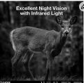 Trail Camera with 32GB SD Card, 32MP 4K Camera with 0.2s  120° Range Night Vision 45 LEDs Waterproof Scouting Camera for Wildlife Monitoring, Home Security, No Battery. 