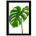 A4 size photo frame (leaf) minimalist photo frame table photo frame wall photo props. 