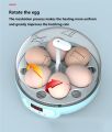 2+1 Incubator (Double Tray )
Both Eggs Tray in One Incubator ☺️

06 Chicken Eggs & 25 small Eggs. 