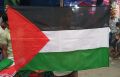 Palestine national flag (ফিলিস্তিন)  (3.5 feet × 2 feet) -1pcs. 