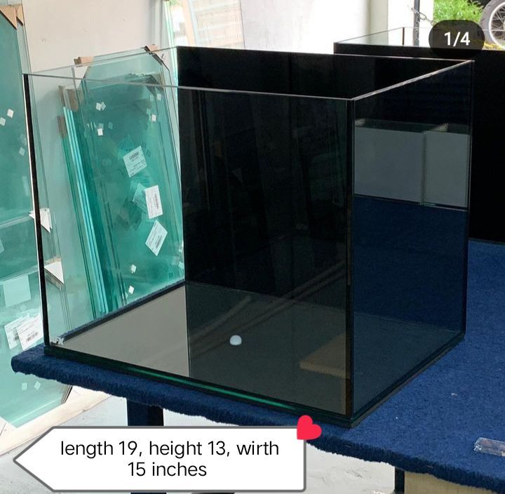 Cube%20shape%20Aquarium%20-%20Image%202