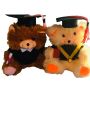Graduation tedy bear. 