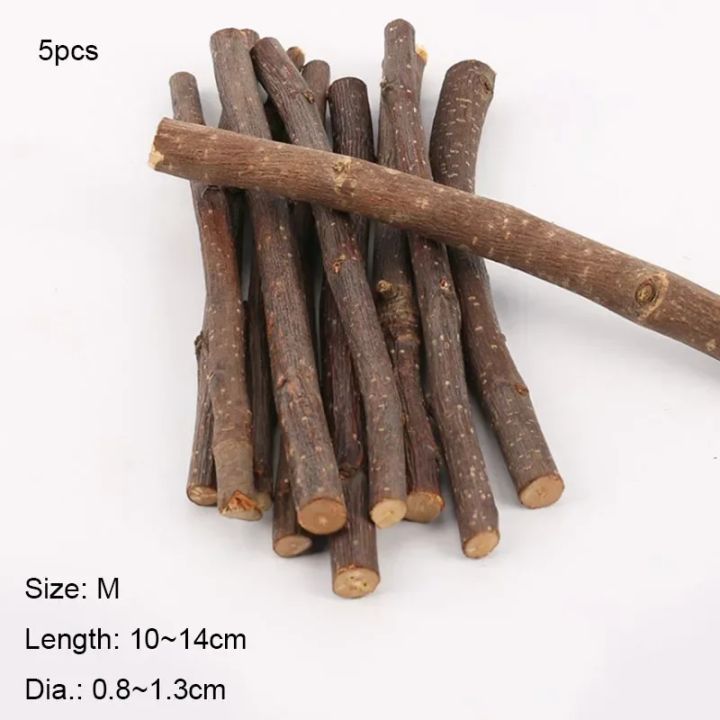 5pcs%2010pcs%2040pcs%20Chew%20Stick%20Apple%20Tree%20Branch%20Hamster%20Squirrel%20Natural%20Toys%20Parrots%20Rabbits%20Grinding%20Stick%20-%20Image%207
