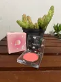 LAMEILA powder blush concealer. 