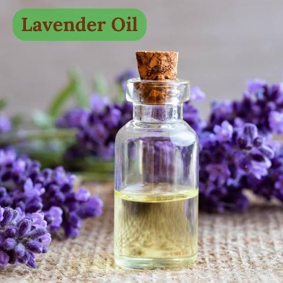 Lavender Essential Oil at ( 25 ml ) / Lavender Oil in Varanasi ...