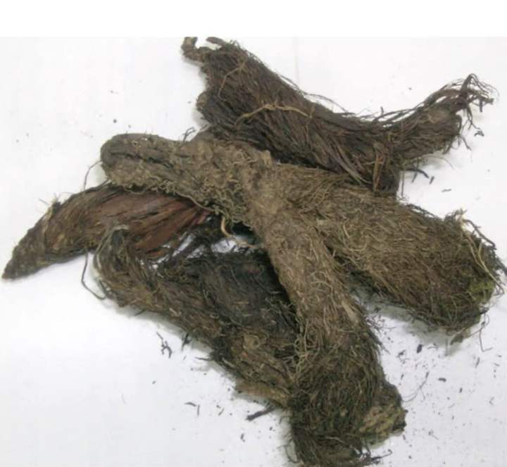 Balchar (Balchar Booti / Jatamansi) ) Bal Char 100 Grams | 50 Grams ...