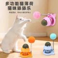 cat nip ball with spring toy.