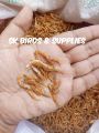 1kg Dry Prawns / Sookha Jheenga/ Dry Shrimps / Sukha Jhinga for Birds, Poultry, Fish, Turtles, Reptiles Etc. 