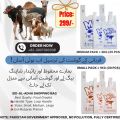 Product details of Eid Mubarak Plastic Shopping Bags, Eid Mubarak Plastic Shoppers, Bags for EID, Bags for meat, Shopping Bags, Gift Raps for Eid and All Three Suitable Sizes Available. 