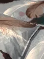 Butter Milk Bed Sheet With 2 Pillow Cases. 