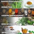 Organic Rosemary Leaves 30 grams | Best for Hair Growth - Nashpati Organics. 