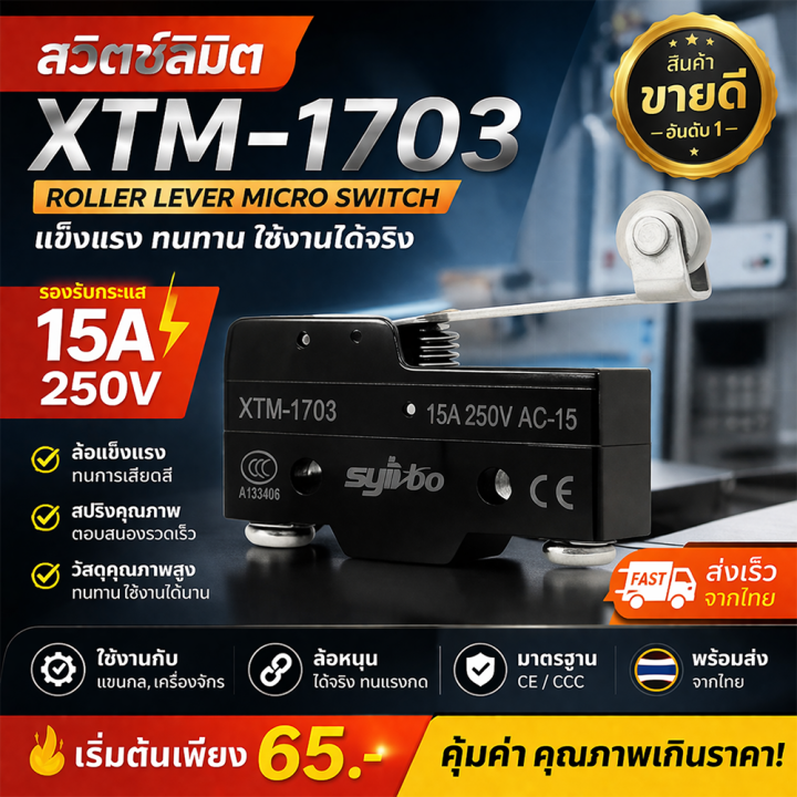 Buy 6/30 ++ micro switch with wheel drive 15A 250V 1no 1NC micro switch with wheel drag limit switch microswitch model TM-1703