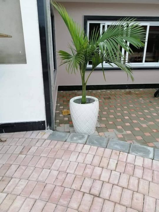 Gamala, Flower Pot , Fiber pot