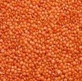 Premium quality deshi moshur dal - (1 kg ). 