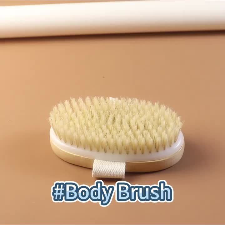 Natural Bristle Body SPA Brush for Wet and Dry Skin, Soft Bath Massager for Home Use