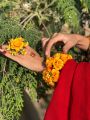 Artificial Flower jewelry for mehndi, bracelet with ring , Gajra ,kanghan.. 