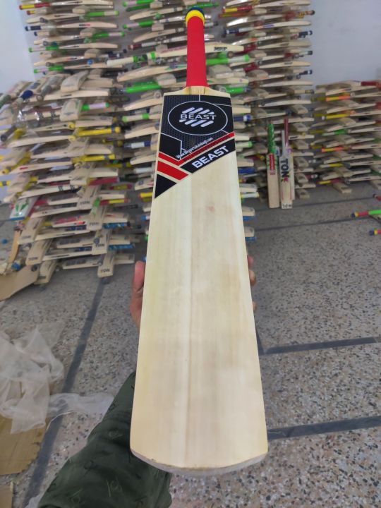 Beast%20Hard%20Ball%20Bat%20-%20Image%205