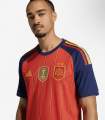 Spain New Two Star Premium Jercey | Spain Home Kit | Spain Away Kit.