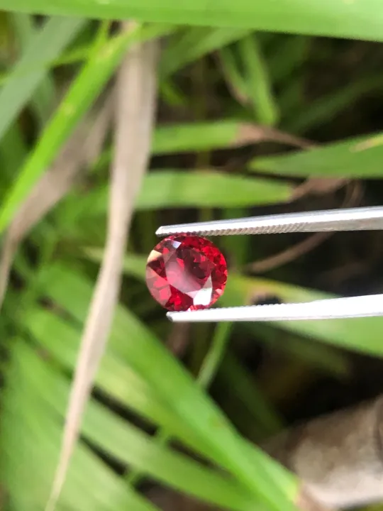 Red%20Garnet%20-%20Image%202