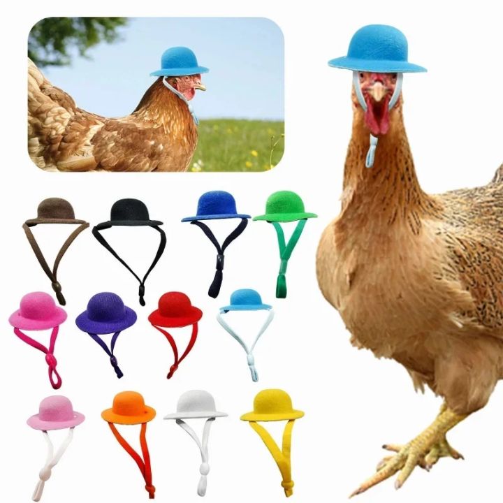 Funny Chicken Top Hat - Elegant Show Costume Accessory for Chickens, Roosters, Ducks, Parrots & Hamsters