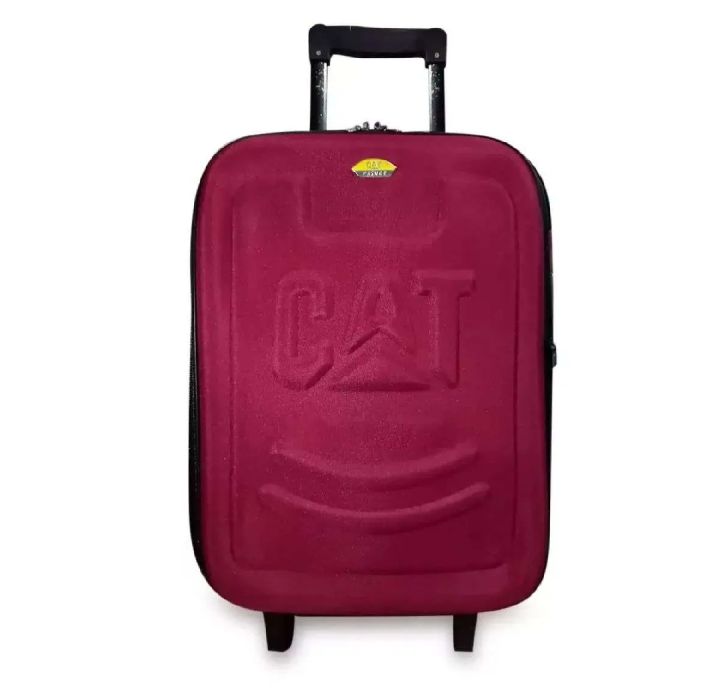 Trolley bag 20 Inch 8 Wheels Softside Spinner Luggage