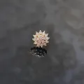 Elegant Rose Gold Plated L-Shaped Nose Ring with Sparkling Crystal Accents.
