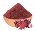 Organic Hibiscus Flower Powder for Hair | Hibiscus Powder 100 Gram. 
