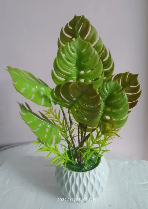 Monstera%20Artificial%20Plant%20with%20Pot%20for%20Home%20and%20Office%20D%C3%A9cor%20-%20Image%202