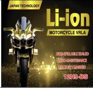 Li-ion%20brand%2012n9-bs%20size%2012volt%20battery%20-%20Image%203