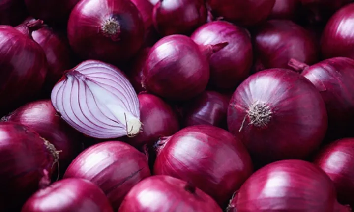 Big%20Onions%20(local)%20seeds%20(light%20red)%202g%20-%20Image%202