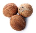 Dry Coconuut, Coconut Seed 2 peices (1000gm-1200gm) নারিকেল পিঠা বানানোর জন্য. 